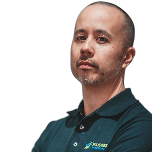 Wayne Jones, WAJONES CONSULTING